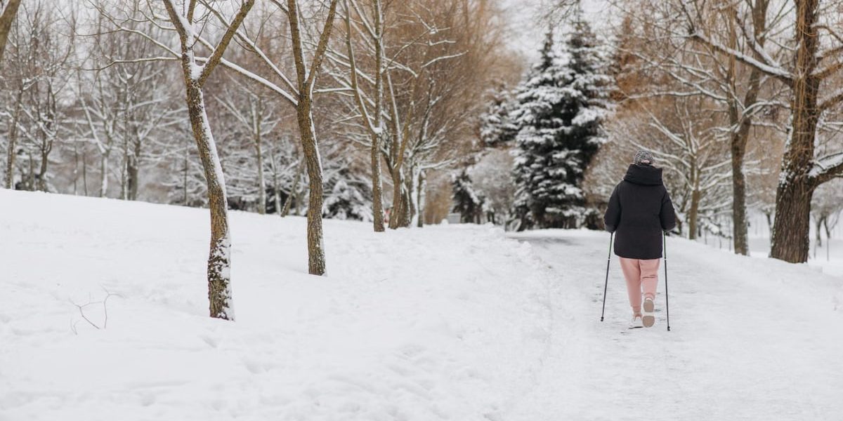 A person walking in a snowy park during winter, surrounded by snow-covered trees.