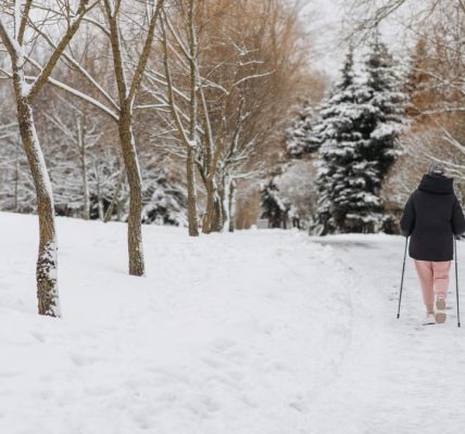 A person walking in a snowy park during winter, surrounded by snow-covered trees.