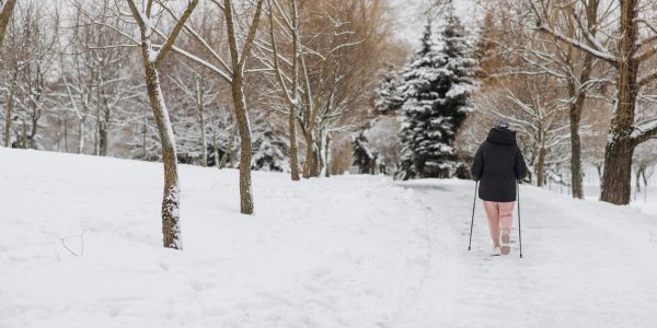 A person walking in a snowy park during winter, surrounded by snow-covered trees.